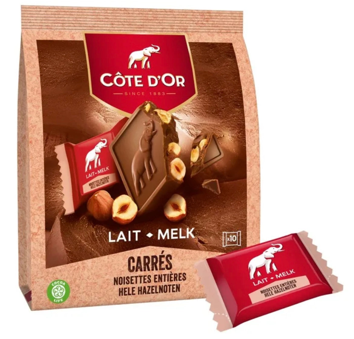 Carré Lait Côte d’Or noisettes entières