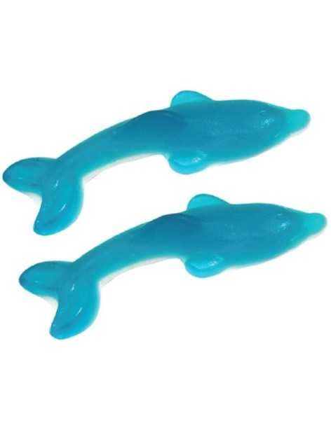 Dauphins Géant Bonbec